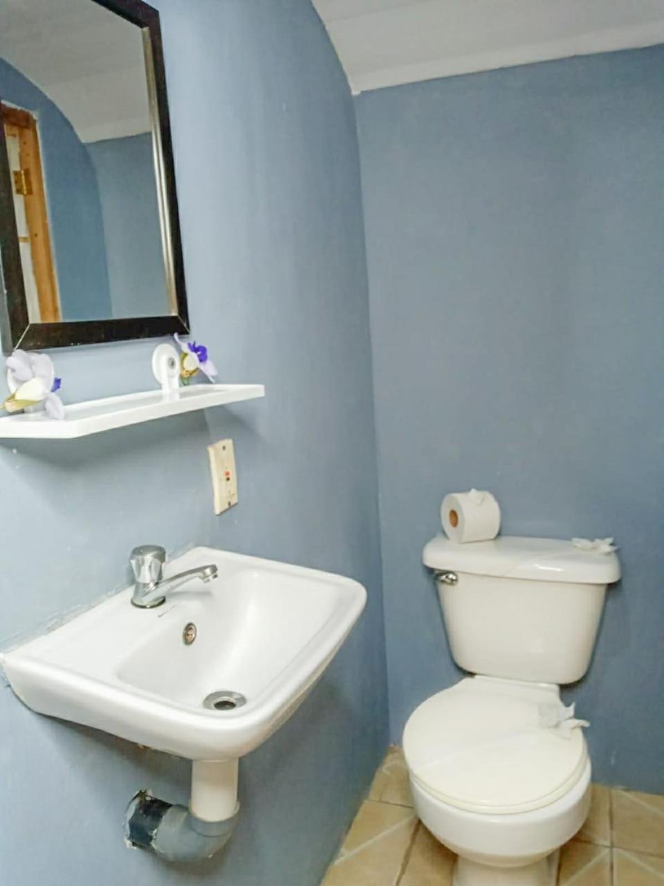 Hospedaje Combi Dream Bird Apartment Playas del Coco ภายนอก รูปภาพ