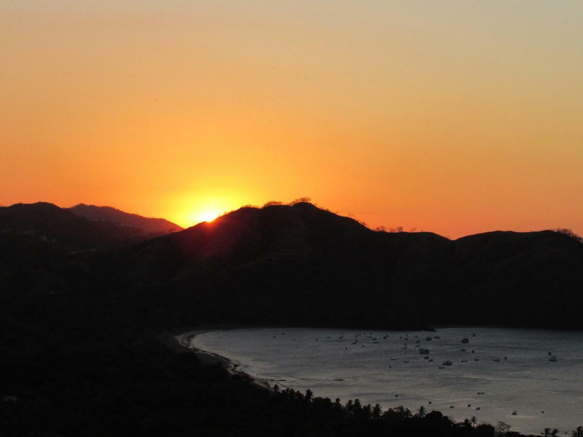 Hospedaje Combi Dream Bird Apartment Playas del Coco ภายนอก รูปภาพ